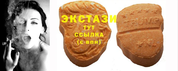 твердый Осинники