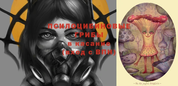 a pvp Няндома