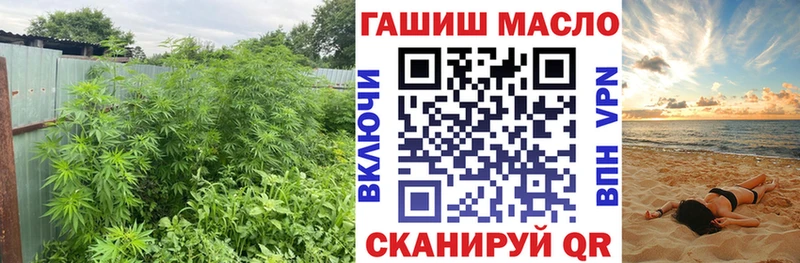 наркотики Козловка ТГК жижа