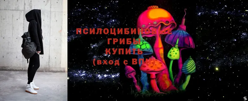 Псилоцибиновые грибы ЛСД  Козловка 